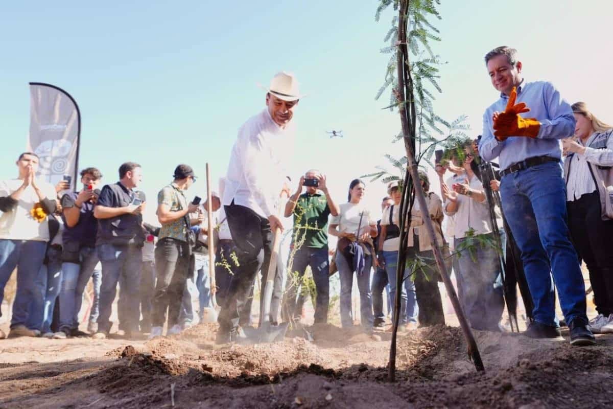 Plantación de arboles en Parque La Sauceda-min