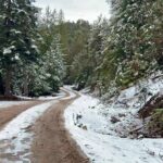 tres-municipios-de-durango-siguen-bajo-cero