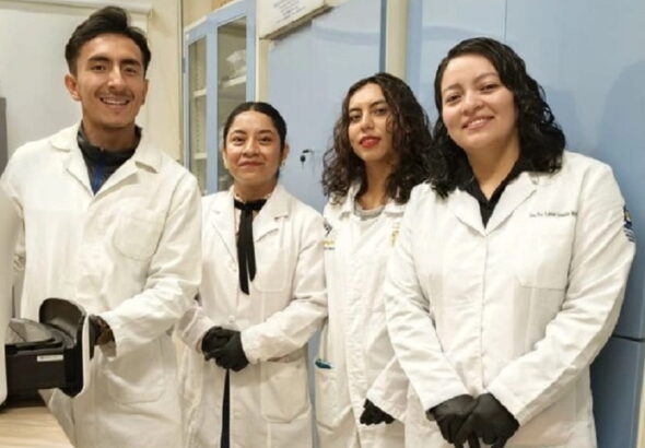 universidad de guanajuato nvestiga plantas -para-ser-usadas-en-tratamientos-de-diabetes-e-hipertension