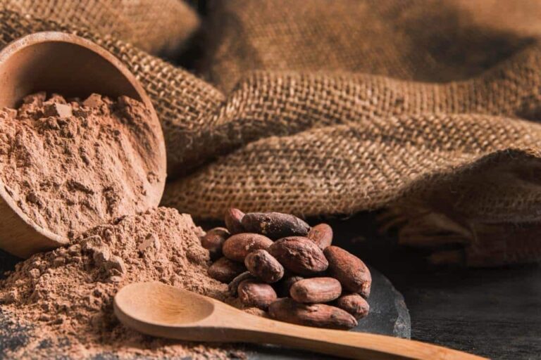 Cacao_-_chocolate_3 (1)